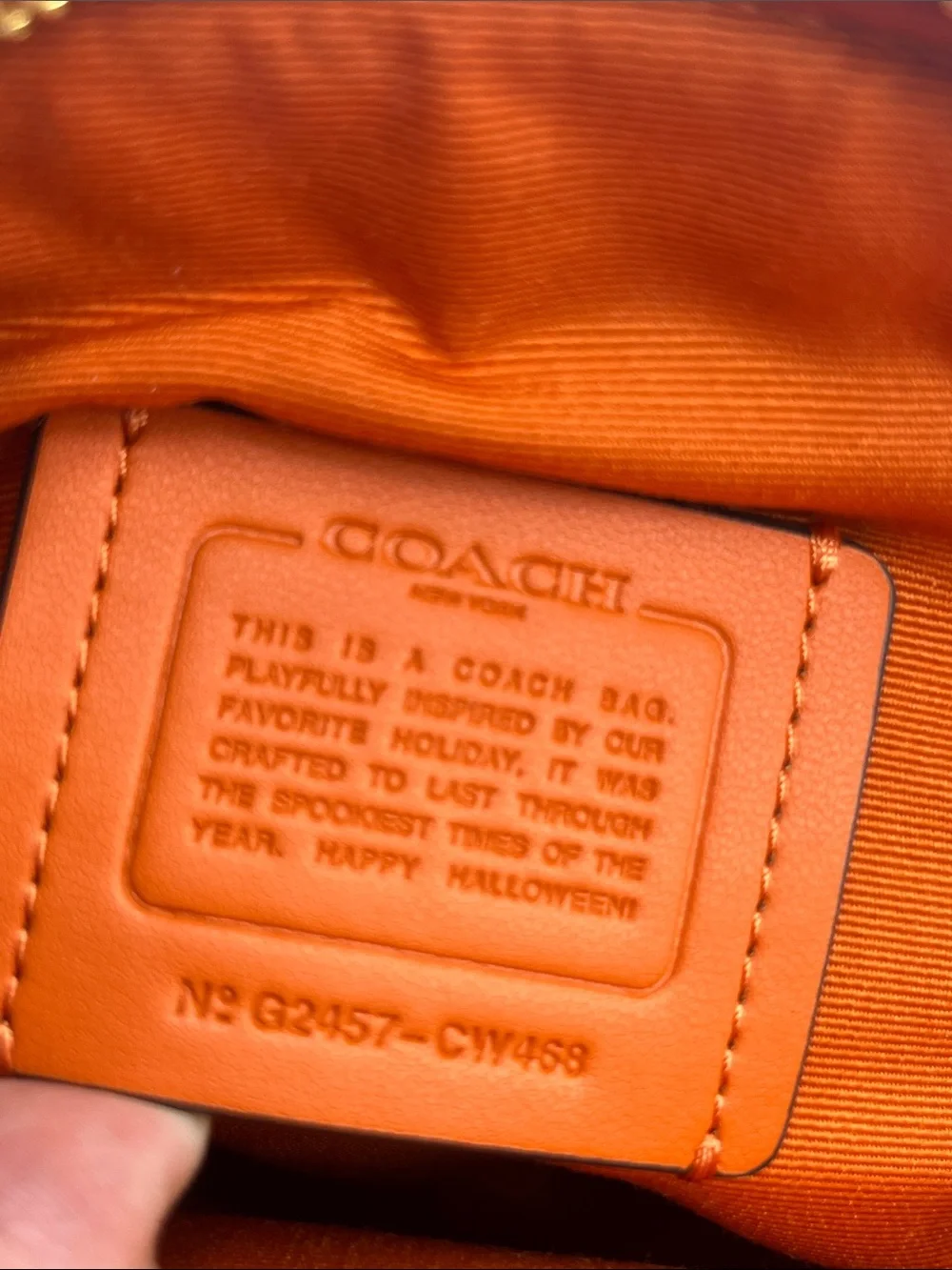 Coach Pumpkin Canteen Crossbody 2024